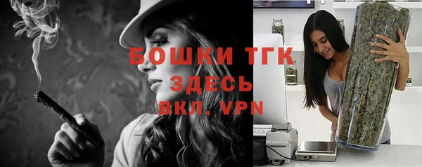 гашик Кулебаки
