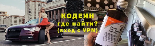 гашик Кулебаки