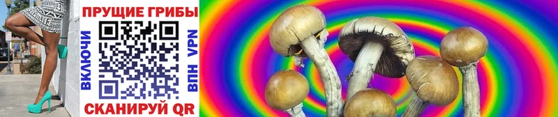 кракен ссылки  Называевск  Псилоцибиновые грибы Cubensis  купить  сайты 